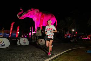 BIB: 
                            <button type="button" onclick="openModal(26534391)" class="btn btn-primary btn-sm float-right btn-popup" data-toggle="modal" data-target=".modal-high-quality">
                        <i class="fas fa-shopping-cart"></i> Add to Cart
                    </button>
                                            <button type="button" onclick="isThisMe(26534391, true)" class="btn btn-success btn-sm float-right btn-popup btn-isme hidden" data-toggle="tooltip" data-placement="bottom" title="นี่คือรูปของคุณใช่ไหม คลิกที่นี่เพื่อเอาเข้าอัลบั้ม">
                        <i class="fas fa-plus"></i> Add to album
                    </button>
                    <button type="button" onclick="isThisMe(26534391, false)" class="btn btn-warning btn-sm float-right btn-popup btn-isnotme hidden">
                        <i class="fas fa-ban"></i> Remove from album
                    </button>